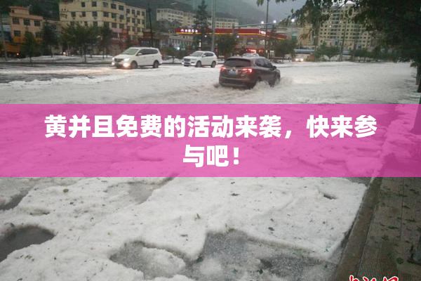 黄并且免费的活动来袭，快来参与吧！