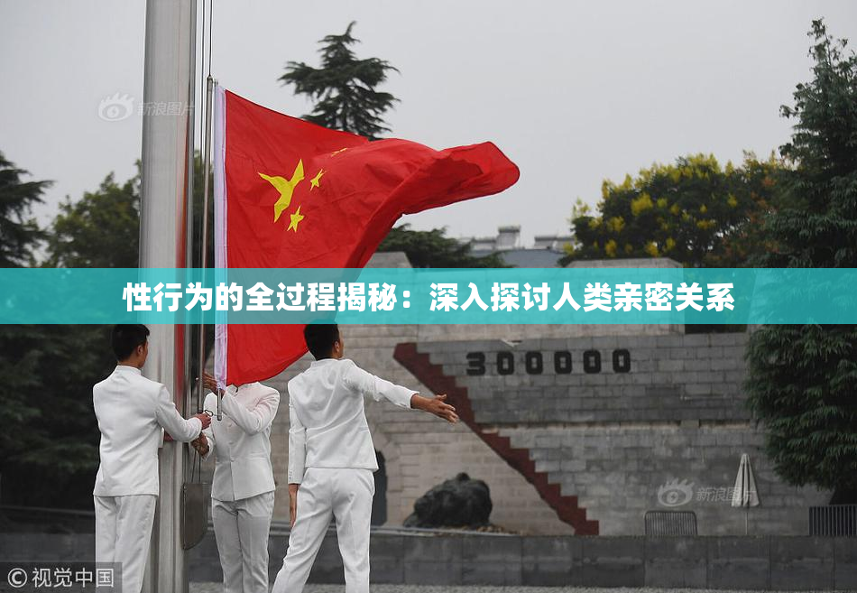 性行为的全过程揭秘：深入探讨人类亲密关系