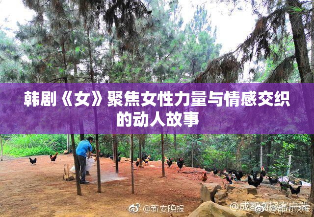 韩剧《女》聚焦女性力量与情感交织的动人故事
