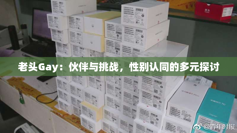 老头Gay：伙伴与挑战，性别认同的多元探讨