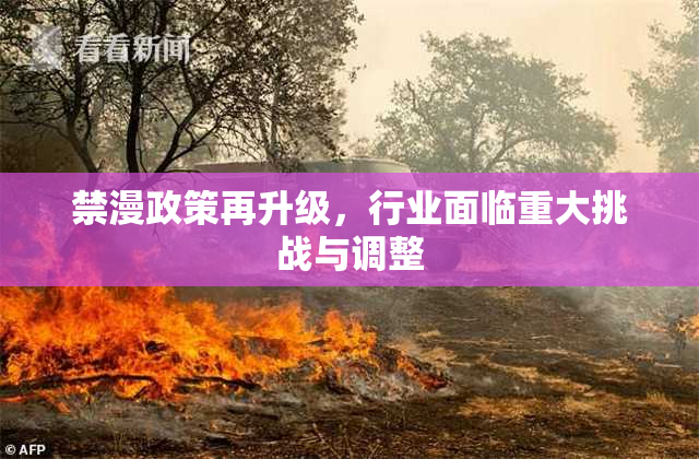 禁漫政策再升级，行业面临重大挑战与调整