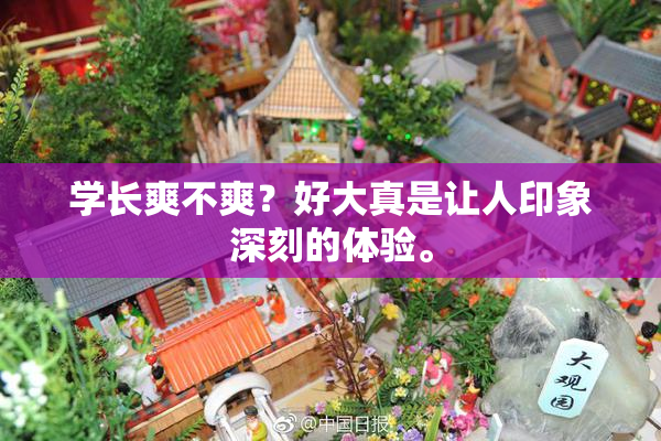 学长爽不爽？好大真是让人印象深刻的体验。