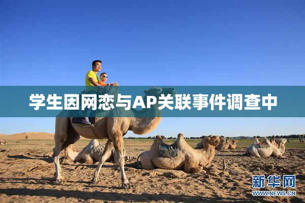 学生因网恋与AP关联事件调查中