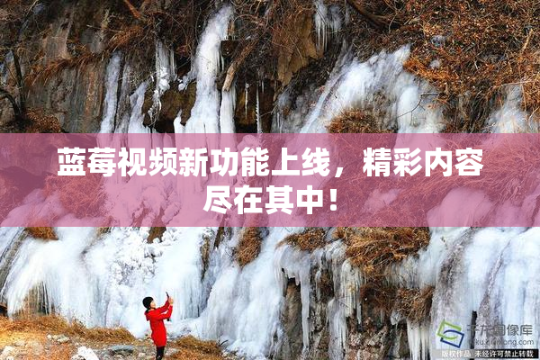 蓝莓视频新功能上线，精彩内容尽在其中！