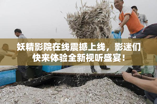 妖精影院在线震撼上线，影迷们快来体验全新视听盛宴！