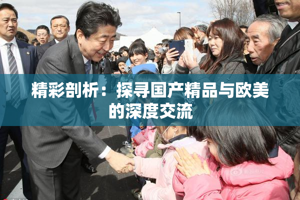 精彩剖析：探寻国产精品与欧美的深度交流