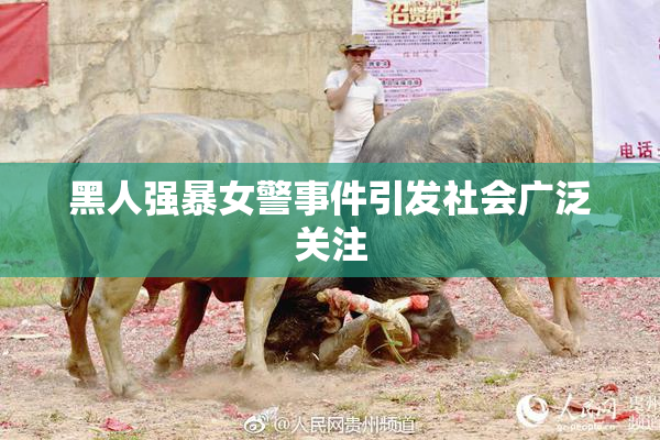 黑人强暴女警事件引发社会广泛关注