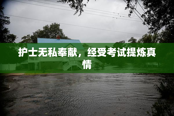 护士无私奉献，经受考试提炼真情