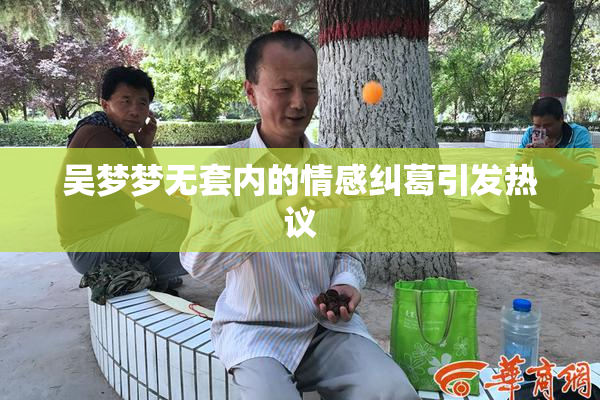 吴梦梦无套内的情感纠葛引发热议