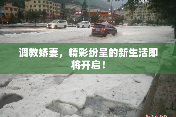调教娇妻，精彩纷呈的新生活即将开启！