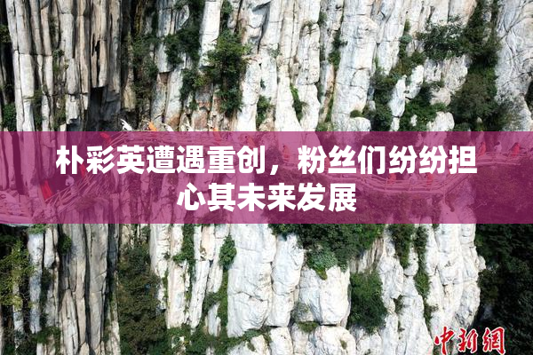 朴彩英遭遇重创，粉丝们纷纷担心其未来发展