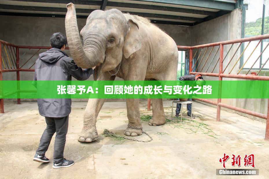 张馨予A：回顾她的成长与变化之路