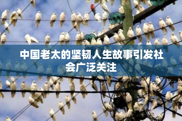 中国老太的坚韧人生故事引发社会广泛关注