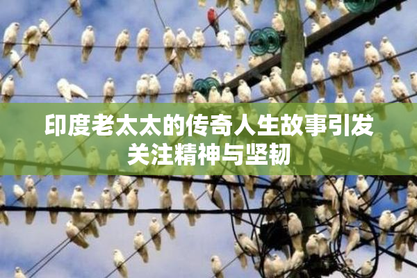 印度老太太的传奇人生故事引发关注精神与坚韧