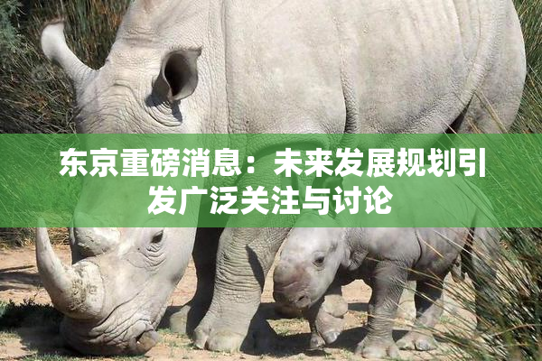 东京重磅消息：未来发展规划引发广泛关注与讨论