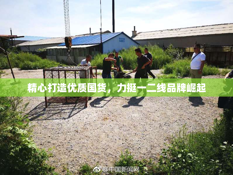 精心打造优质国货，力挺一二线品牌崛起