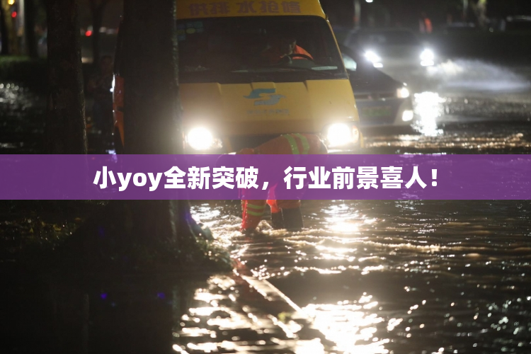小yoy全新突破，行业前景喜人！