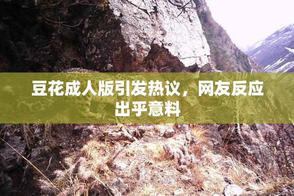 豆花成人版引发热议，网友反应出乎意料