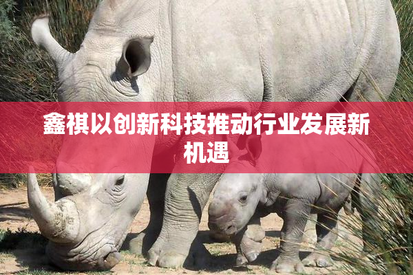 鑫祺以创新科技推动行业发展新机遇