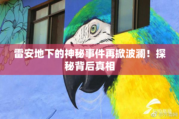 雷安地下的神秘事件再掀波澜！探秘背后真相