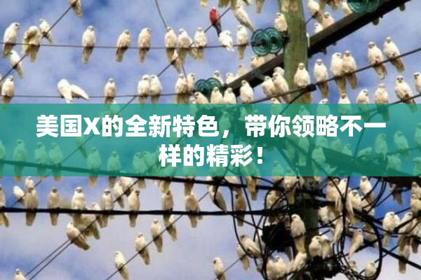 美国X的全新特色，带你领略不一样的精彩！