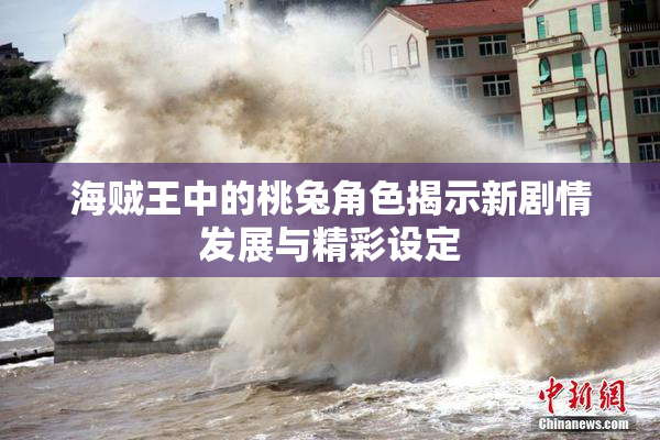 海贼王中的桃兔角色揭示新剧情发展与精彩设定