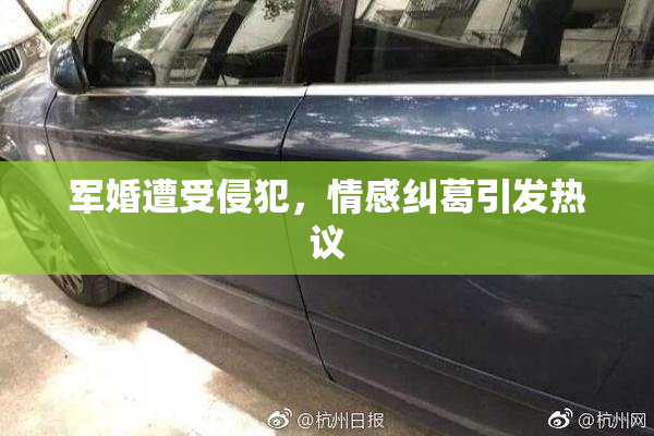 军婚遭受侵犯，情感纠葛引发热议