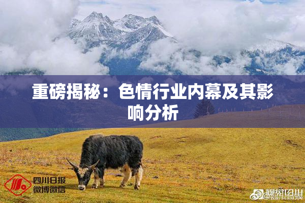 重磅揭秘：色情行业内幕及其影响分析