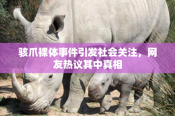 骇爪裸体事件引发社会关注，网友热议其中真相