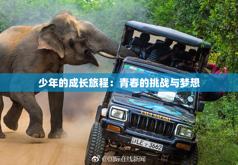 少年的成长旅程：青春的挑战与梦想