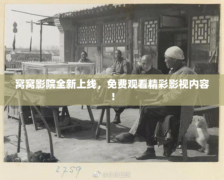 窝窝影院全新上线，免费观看精彩影视内容！