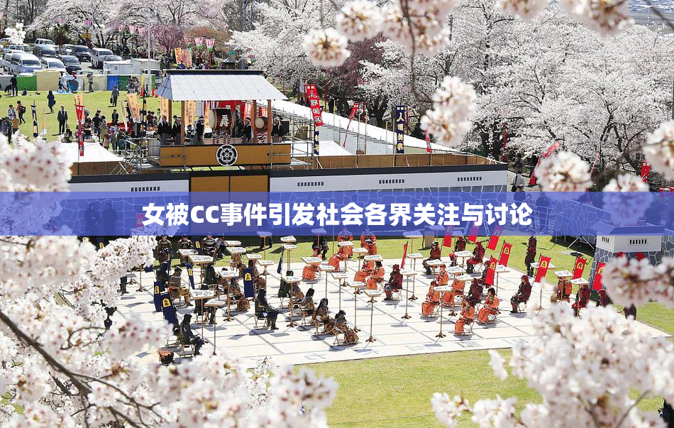 女被CC事件引发社会各界关注与讨论