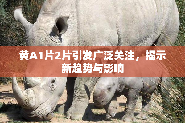 黄A1片2片引发广泛关注，揭示新趋势与影响