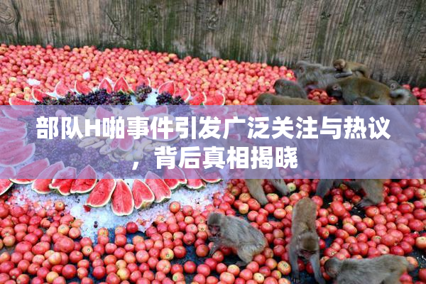 部队H啪事件引发广泛关注与热议，背后真相揭晓
