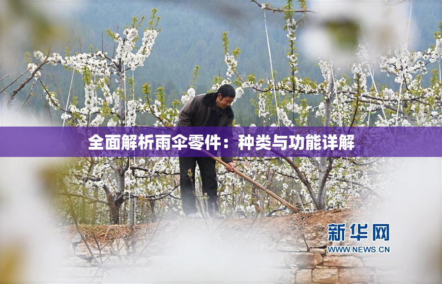全面解析雨伞零件：种类与功能详解
