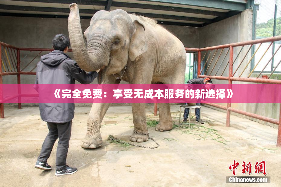 《完全免费：享受无成本服务的新选择》