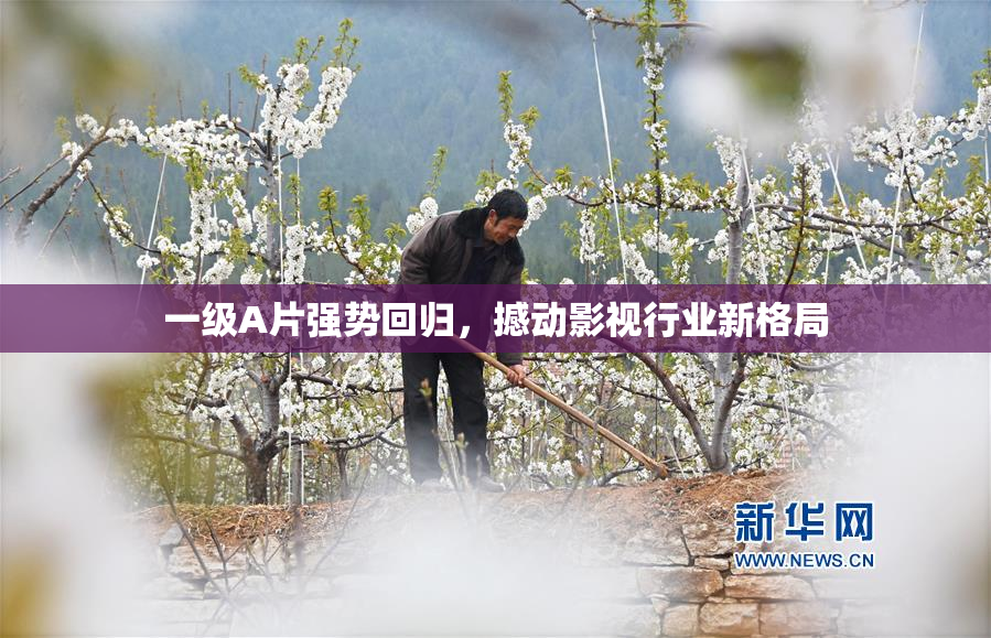 一级A片强势回归，撼动影视行业新格局