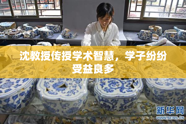 沈教授传授学术智慧，学子纷纷受益良多