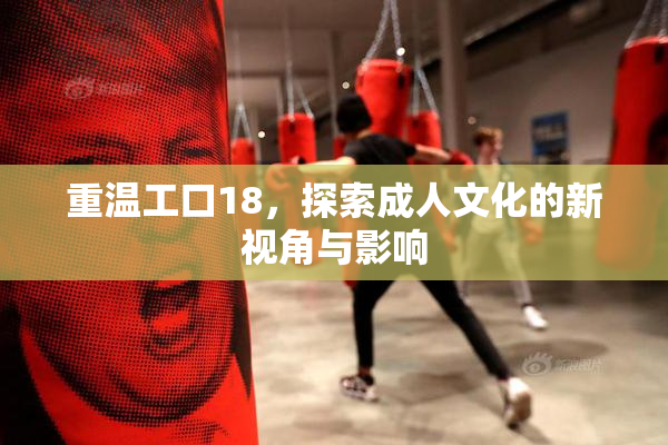 重温工口18，探索成人文化的新视角与影响