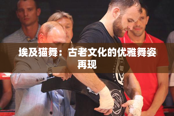 埃及猫舞：古老文化的优雅舞姿再现