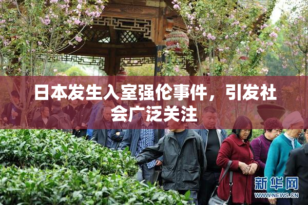 日本发生入室强伦事件，引发社会广泛关注