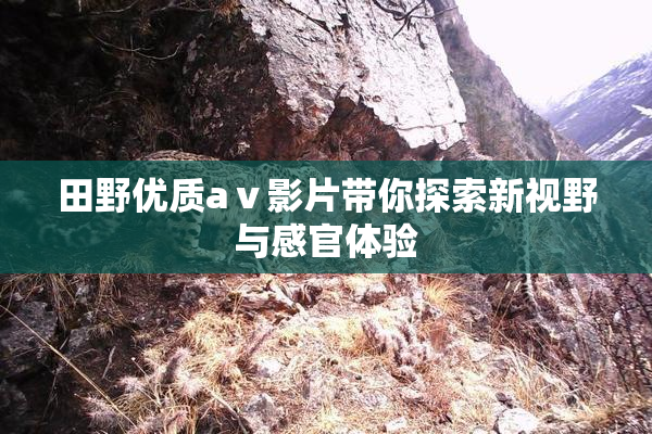 田野优质aⅴ影片带你探索新视野与感官体验