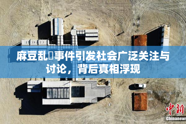 麻豆乱婬事件引发社会广泛关注与讨论，背后真相浮现