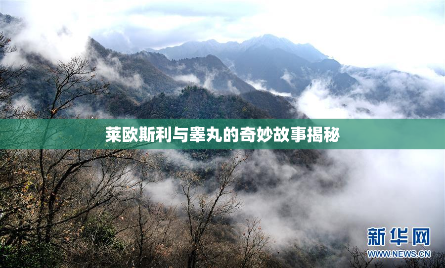 莱欧斯利与睾丸的奇妙故事揭秘