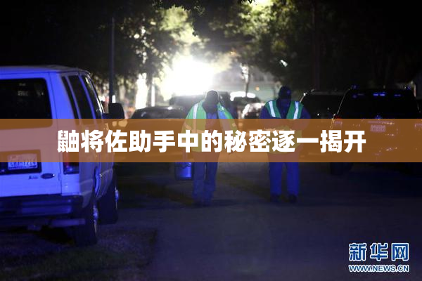 鼬将佐助手中的秘密逐一揭开