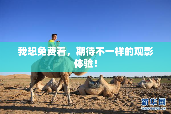 我想免费看，期待不一样的观影体验！