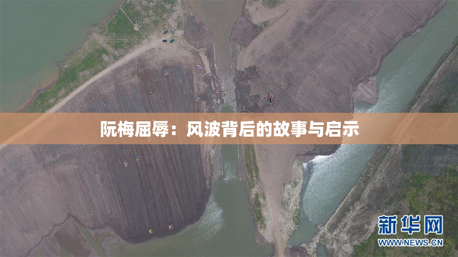 阮梅屈辱：风波背后的故事与启示