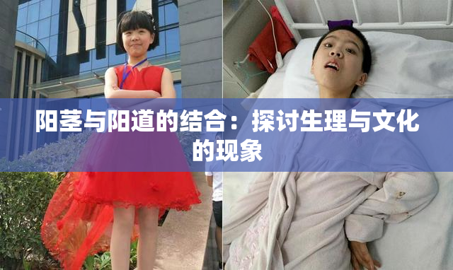 阳茎与阳道的结合：探讨生理与文化的现象