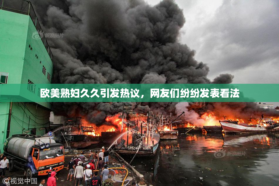 欧美熟妇久久引发热议，网友们纷纷发表看法