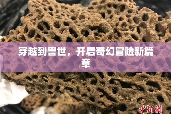 穿越到兽世，开启奇幻冒险新篇章